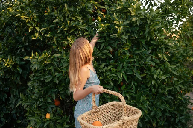 Table for One | Book photoshoot