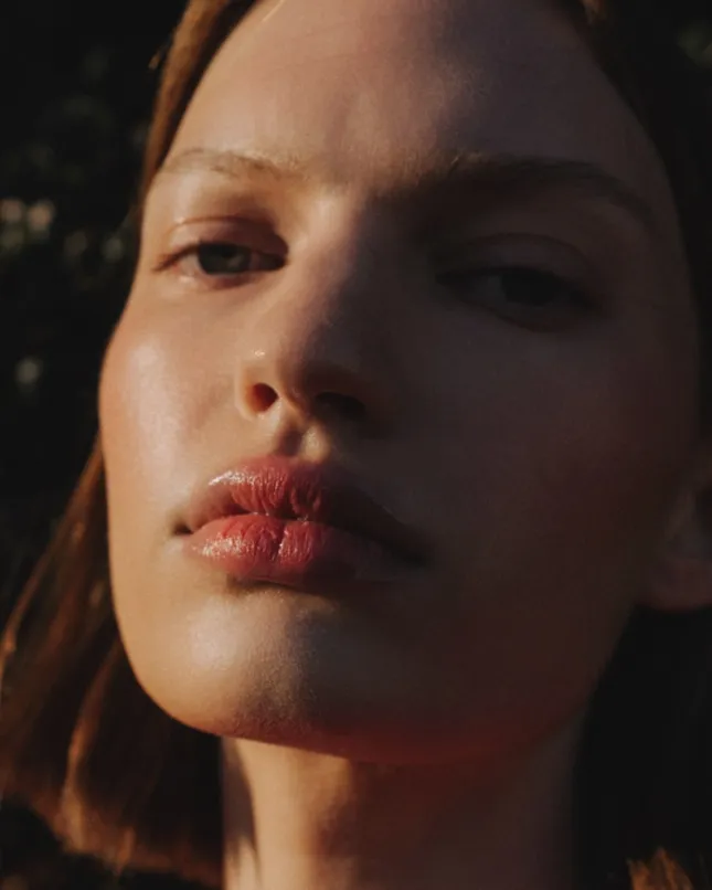 Fitch at Golden Hour