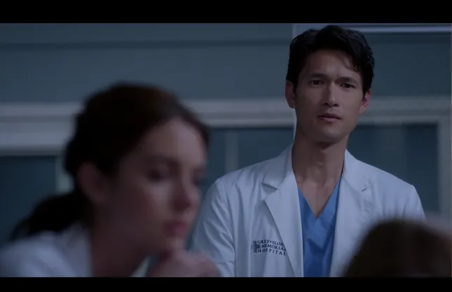 Greys Anatomy