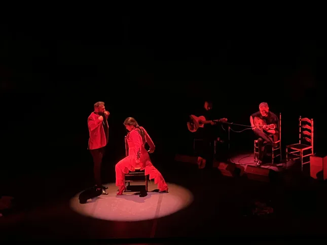 Flamenco Show