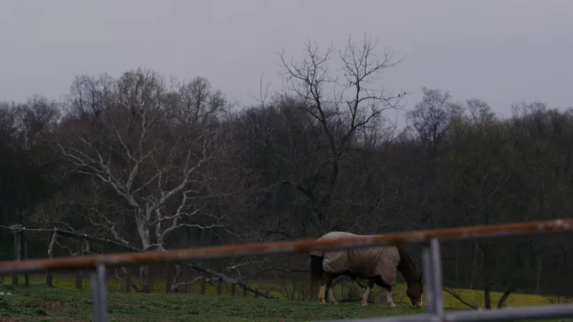 Woolrich x One of These Days Campaign Video