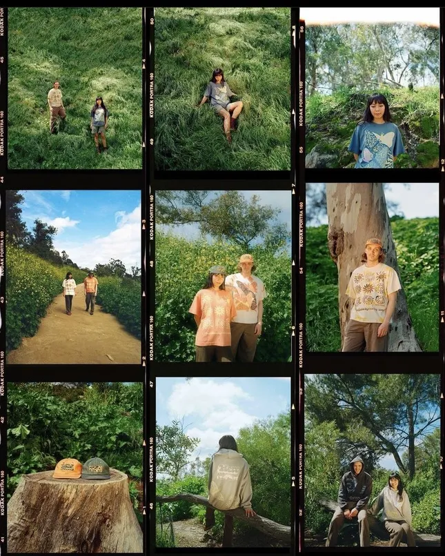 Project image
