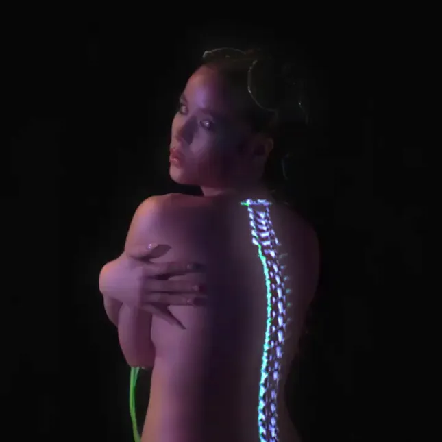 Blossom spine projection mapping