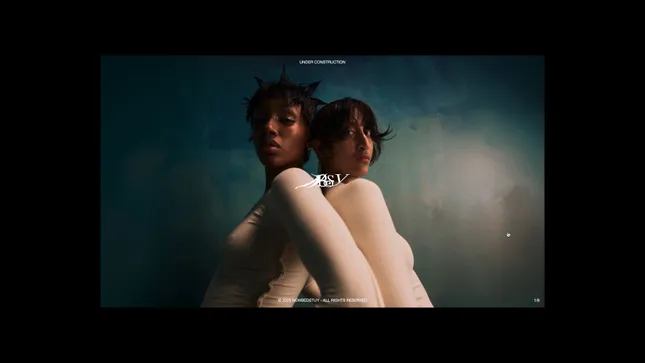 newbedstuy - landing page