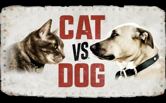 Animal Planet - Cat Vs. Dog
