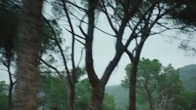 LOLA INDIGO x KID VOODOO