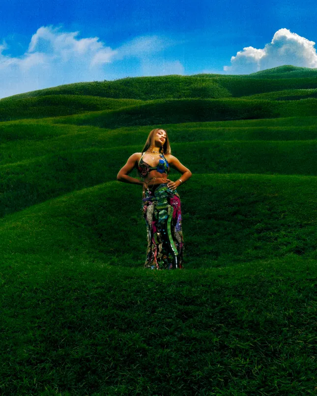 Project image