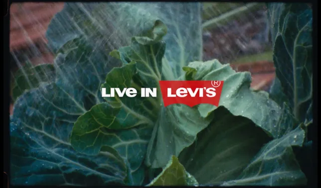 Levi’s FRESH x Hortas LX