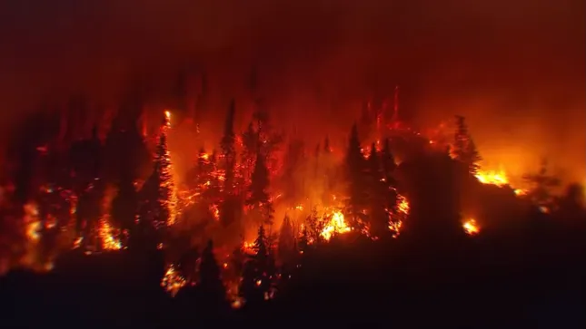 “These Entrepreneurs Are Reversing Climate Change” (Shopify Sustainability Fund Campaign, 2022)