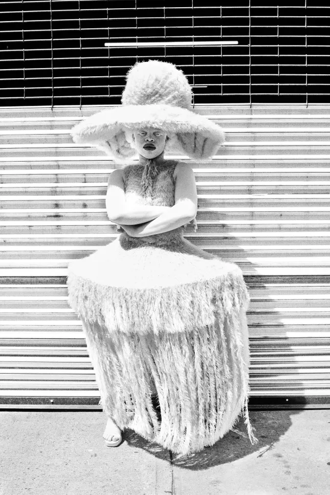 Pipen Colorena Editorial