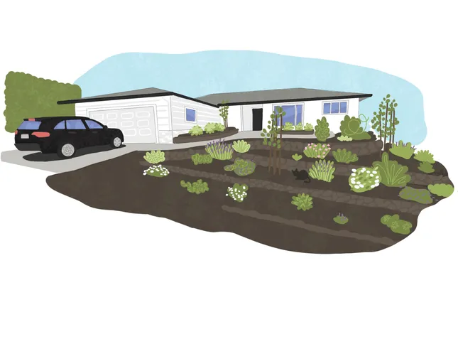 Procreate Digital Illustration (2021)