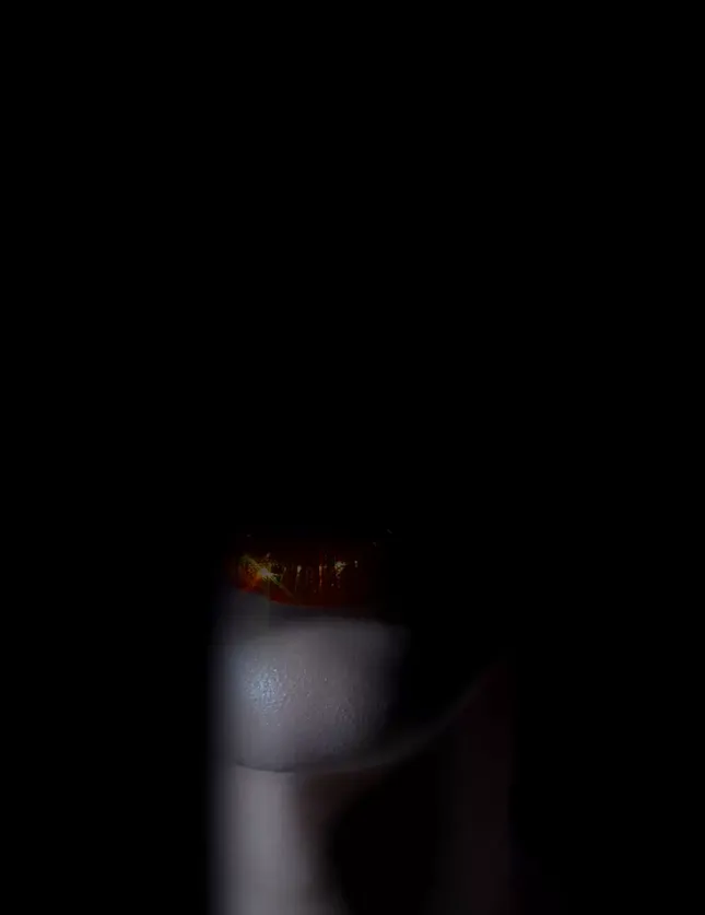 UNSHADE NOIR X VMAGAZINE