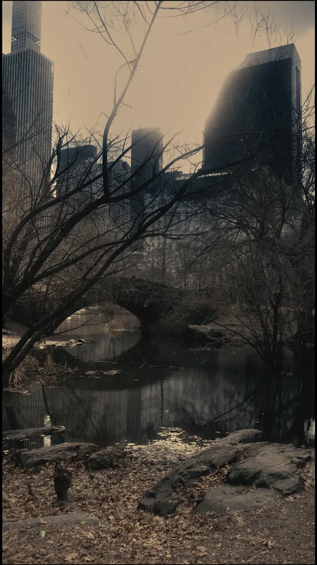 Snow day in New York