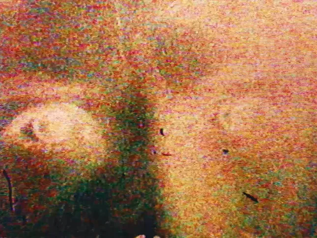 Same Sun - Still Blank