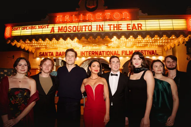 A MOSQUITO IN THE EAR