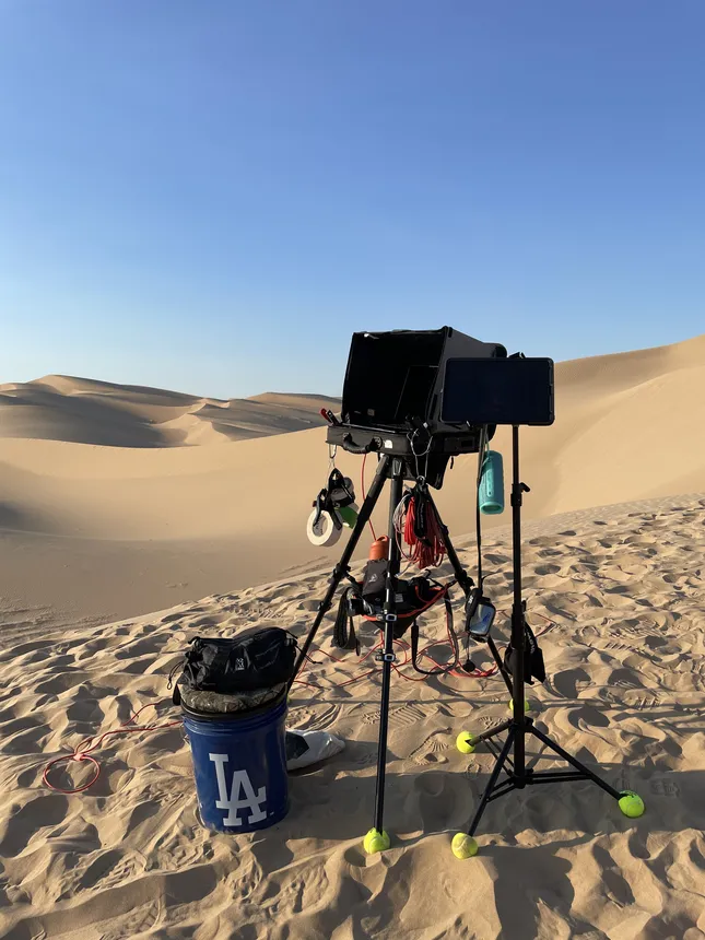 Woods by Jordyn Woods