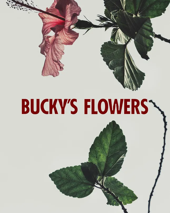 Bucky’s Flowers Brand Identity