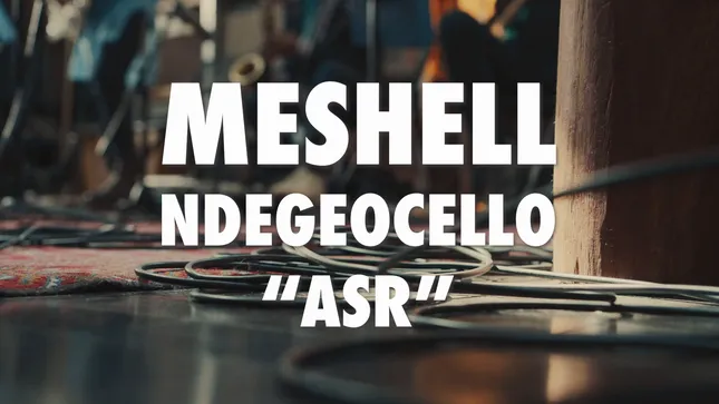 Meshell Ndegeocello - ASR
