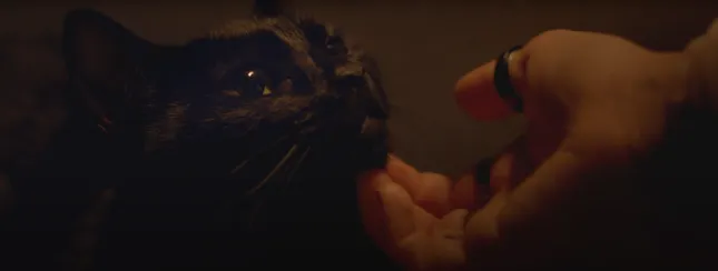 CANINE | Horror Short