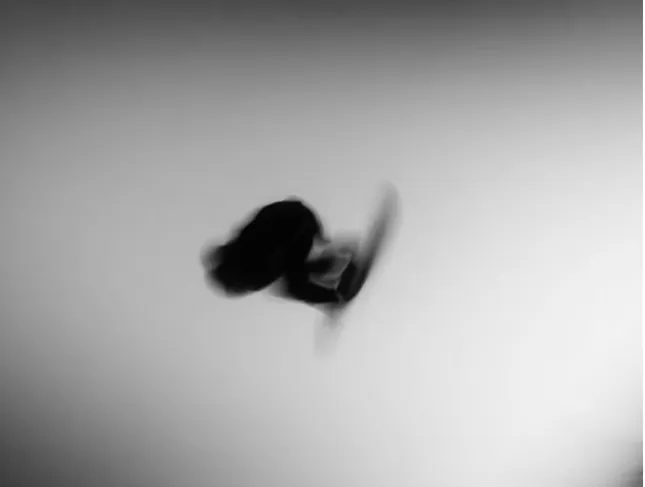 U.S. Ski & Snowboard: Winning Starts Within