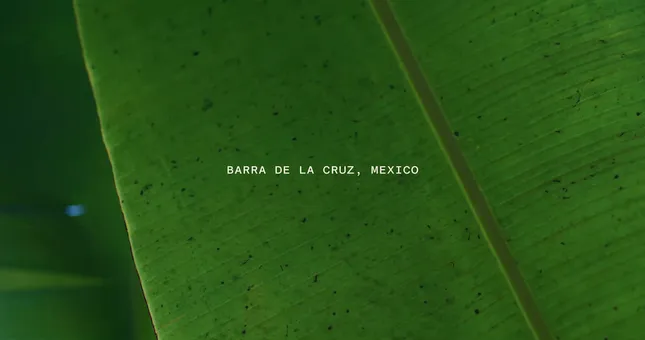 Thermal Travel: Oaxaca