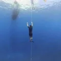 WW  Avatar