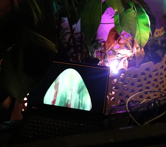 Project image