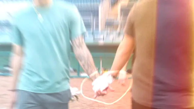 True Temper Baseball | Brady And Blaze