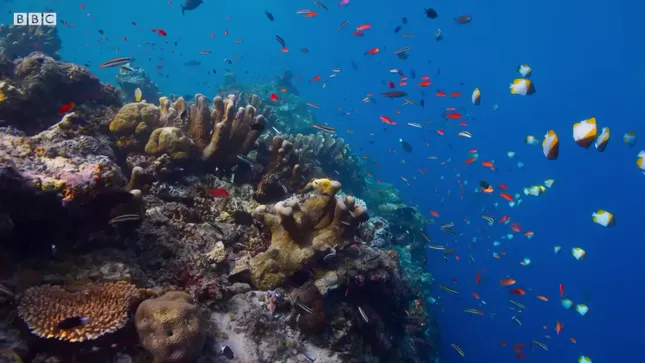 Bending Hectic x Underwater
