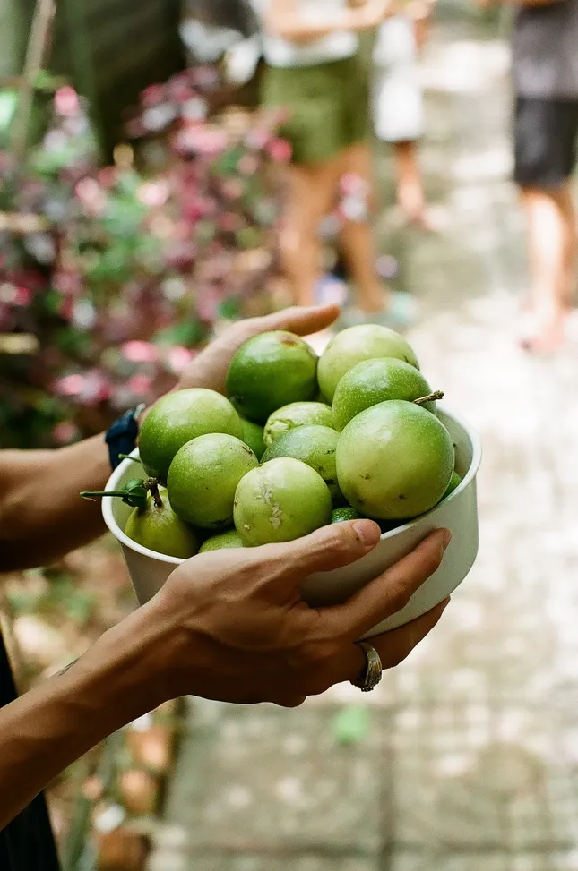 Guava in Vietnam