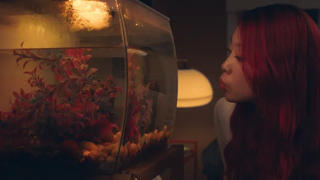 I Want to be a Fish