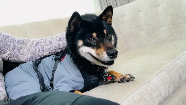 Art Basel Miami (FaZe Clan x Moonpay)