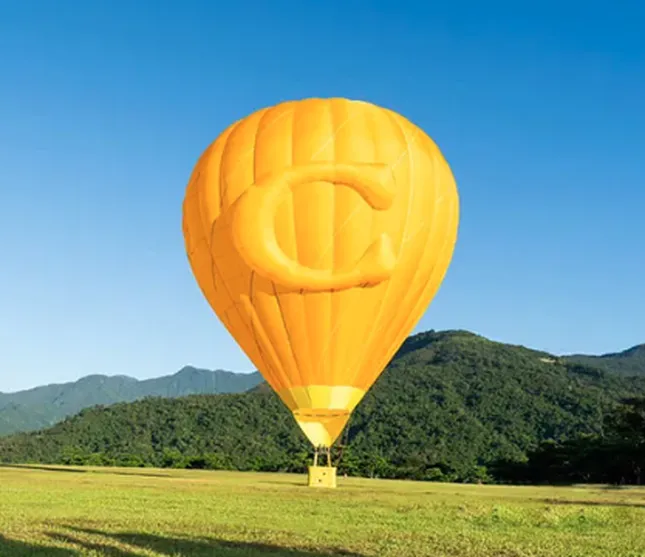 Coach Tabby Hot Air Balloon