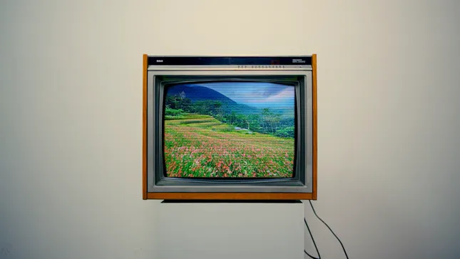 SEEDS Experimental Short Film