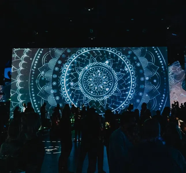 Project image