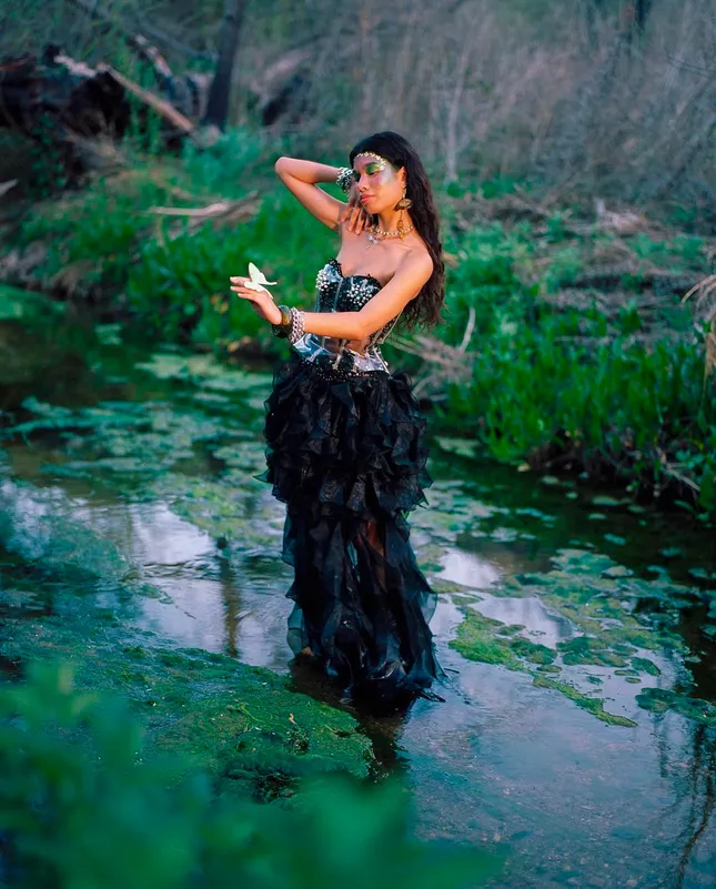 Ariel