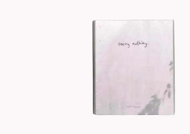 seeing nothing
