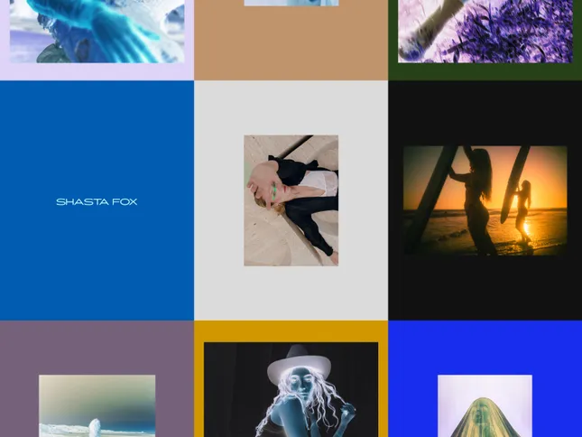 Project image