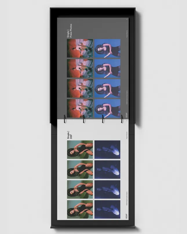 Project image
