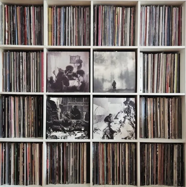 PINK SIIFU GFATC’! VINYL COVERS