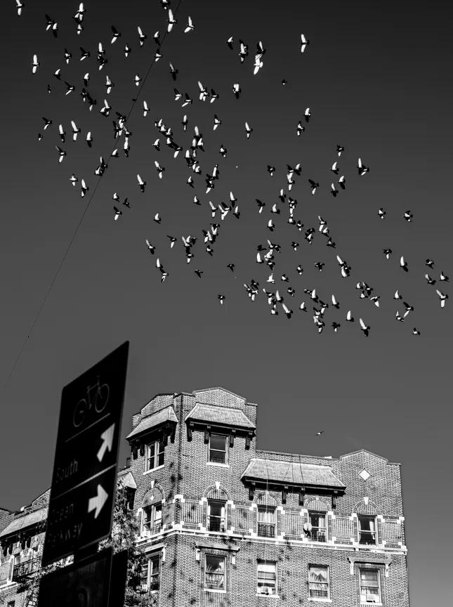 Project image