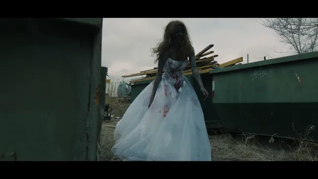 I Want Your Brains Not Your Body, Sincerely Zombie