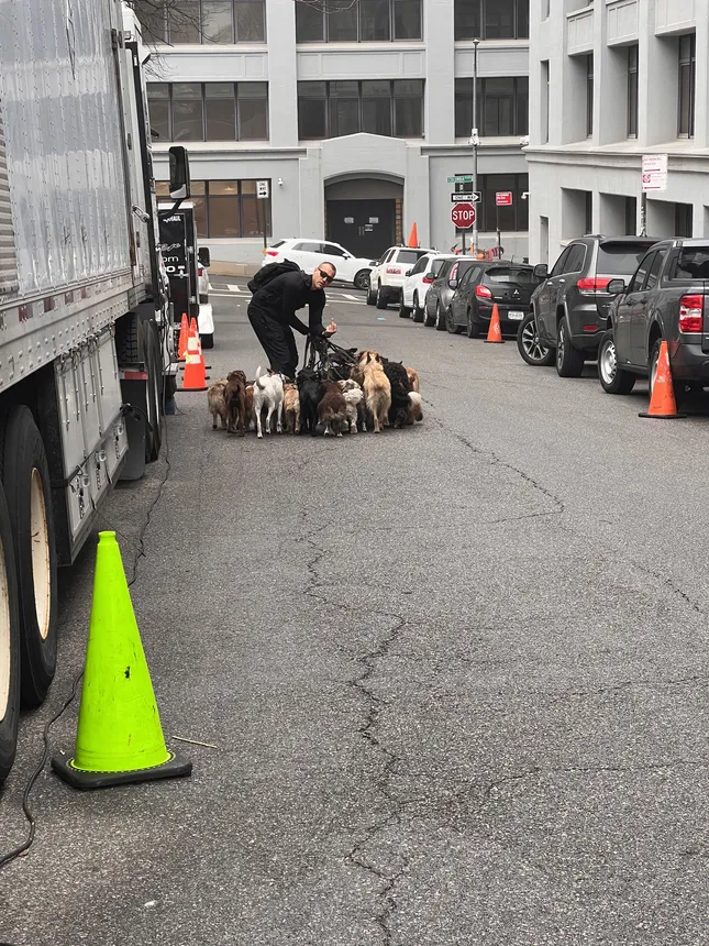 “Untitled” Ronny Chang Pilot