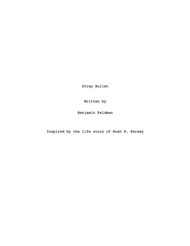 Stray Bullet (Feature Film)