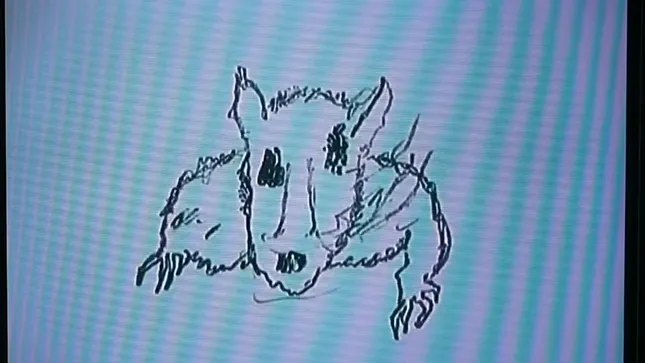 Tour visuals for Lowertown