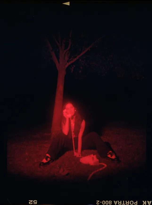 Project image