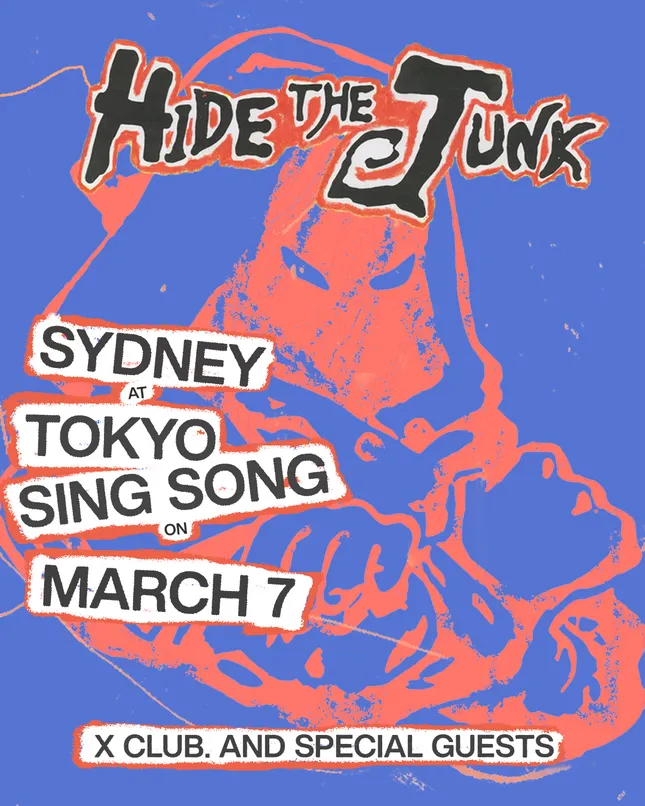 Hide The Junk Poster