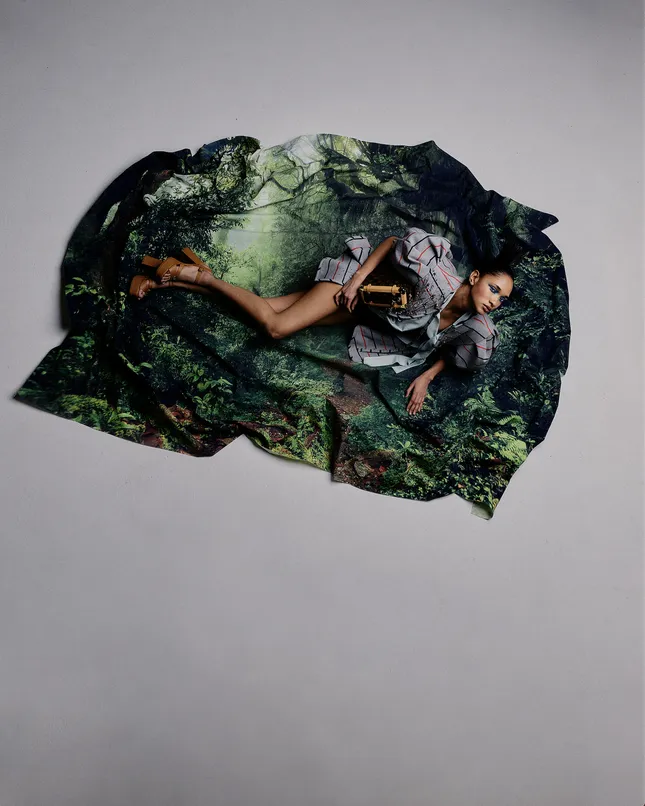Project image