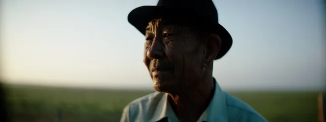 ERDOS // “FROM NATURE”