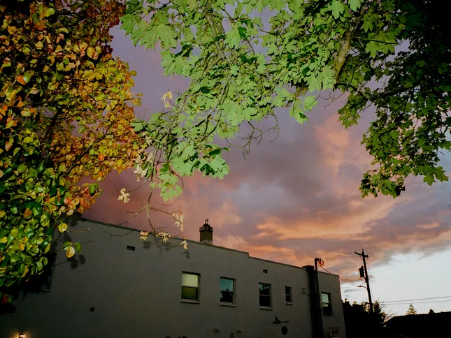 Ryan Beatty - Tour Manager